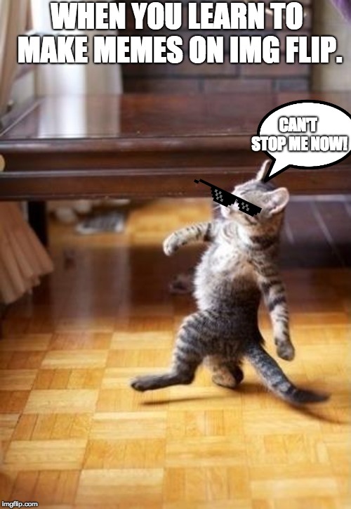 can't stop me | WHEN YOU LEARN TO MAKE MEMES ON IMG FLIP. CAN'T STOP ME NOW! | image tagged in memes,cool cat stroll | made w/ Imgflip meme maker