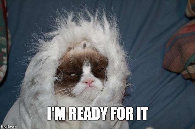 Cold grumpy cat  | I'M READY FOR IT | image tagged in cold grumpy cat | made w/ Imgflip meme maker