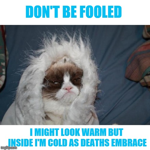 Cold grumpy cat  | DON'T BE FOOLED; I MIGHT LOOK WARM BUT INSIDE I'M COLD AS DEATHS EMBRACE | image tagged in cold grumpy cat | made w/ Imgflip meme maker