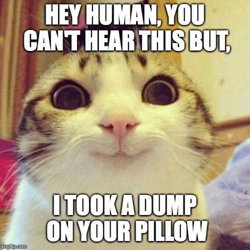 Smiling Cat | HEY HUMAN, YOU CAN'T HEAR THIS BUT, I TOOK A DUMP ON YOUR PILLOW | image tagged in memes,smiling cat | made w/ Imgflip meme maker