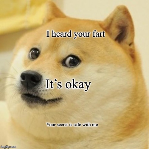 Doge | I heard your fart; It’s okay; Your secret is safe with me | image tagged in memes,doge | made w/ Imgflip meme maker