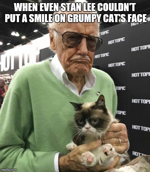 WHEN EVEN STAN LEE COULDN'T PUT A SMILE ON GRUMPY CAT'S FACE | image tagged in stan lee,grumpy cat | made w/ Imgflip meme maker