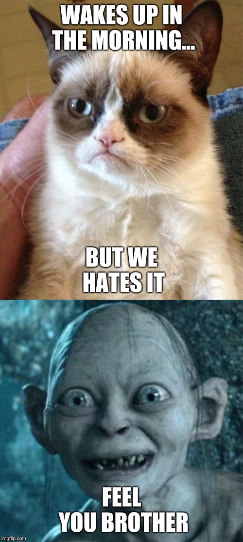 That's me every morning |  WAKES UP IN THE MORNING... BUT WE HATES IT; FEEL YOU BROTHER | image tagged in memes,grumpy cat,excited gollum | made w/ Imgflip meme maker