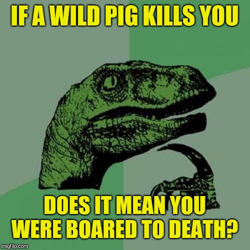Philosoraptor Meme | IF A WILD PIG KILLS YOU; DOES IT MEAN YOU WERE BOARED TO DEATH? | image tagged in memes,philosoraptor,jbmemegeek,bad puns | made w/ Imgflip meme maker