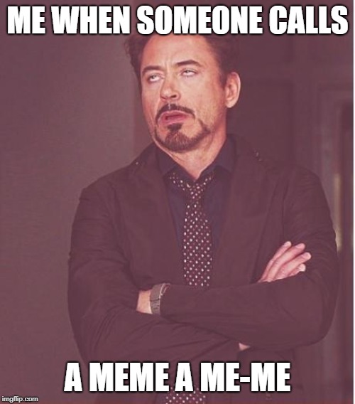 Face You Make Robert Downey Jr Meme | ME WHEN SOMEONE CALLS; A MEME A ME-ME | image tagged in memes,face you make robert downey jr | made w/ Imgflip meme maker