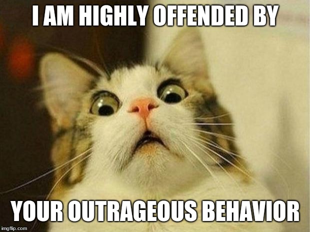 Scared Cat Meme | I AM HIGHLY OFFENDED BY YOUR OUTRAGEOUS BEHAVIOR | image tagged in memes,scared cat | made w/ Imgflip meme maker