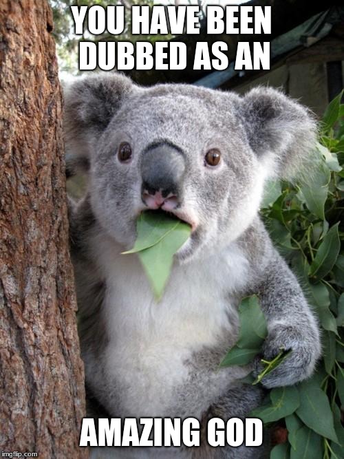Surprised Koala Meme | YOU HAVE BEEN DUBBED AS AN AMAZING GOD | image tagged in memes,surprised koala | made w/ Imgflip meme maker
