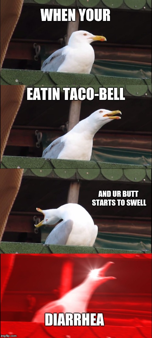Taco bell | WHEN YOUR; EATIN TACO-BELL; AND UR BUTT STARTS TO SWELL; DIARRHEA | image tagged in memes,inhaling seagull | made w/ Imgflip meme maker