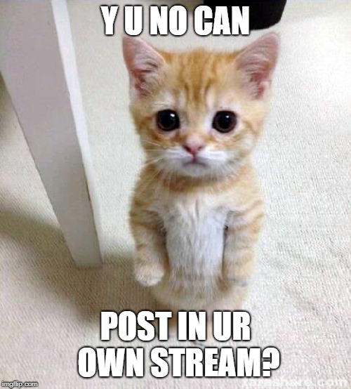 Slaps forehead. Wait, you have to subscribe to a stream you created and moderate? What!? | Y U NO CAN; POST IN UR OWN STREAM? | image tagged in memes,cute cat,stream,imgflip | made w/ Imgflip meme maker