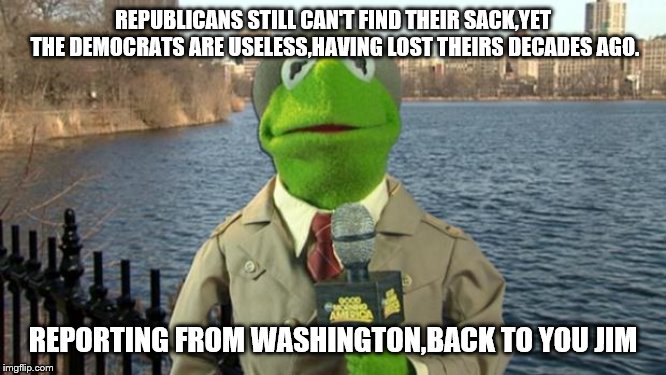 Kermit News Report | REPUBLICANS STILL CAN'T FIND THEIR SACK,YET THE DEMOCRATS ARE USELESS,HAVING LOST THEIRS DECADES AGO. REPORTING FROM WASHINGTON,BACK TO YOU  | image tagged in kermit news report | made w/ Imgflip meme maker