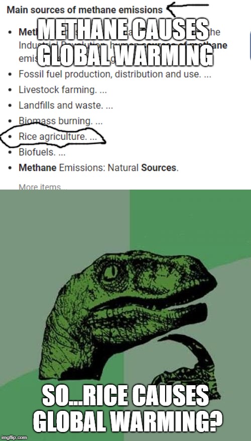 METHANE CAUSES GLOBAL WARMING; SO...RICE CAUSES GLOBAL WARMING? | image tagged in memes,philosoraptor | made w/ Imgflip meme maker