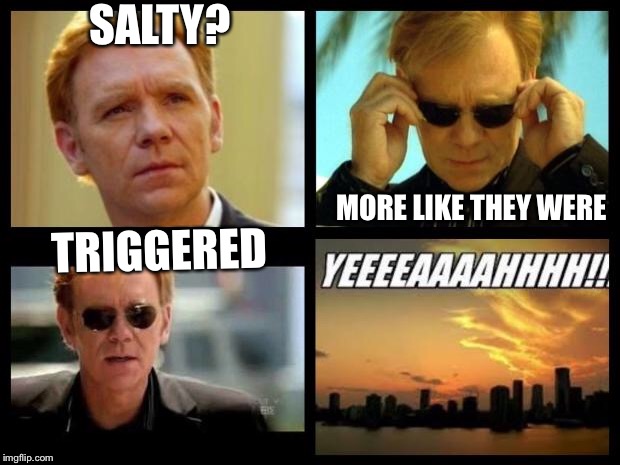 CSI | SALTY? MORE LIKE THEY WERE; TRIGGERED | image tagged in csi | made w/ Imgflip meme maker