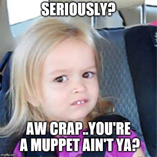 Confused Little Girl | SERIOUSLY? AW CRAP..YOU'RE A MUPPET AIN'T YA? | image tagged in confused little girl | made w/ Imgflip meme maker
