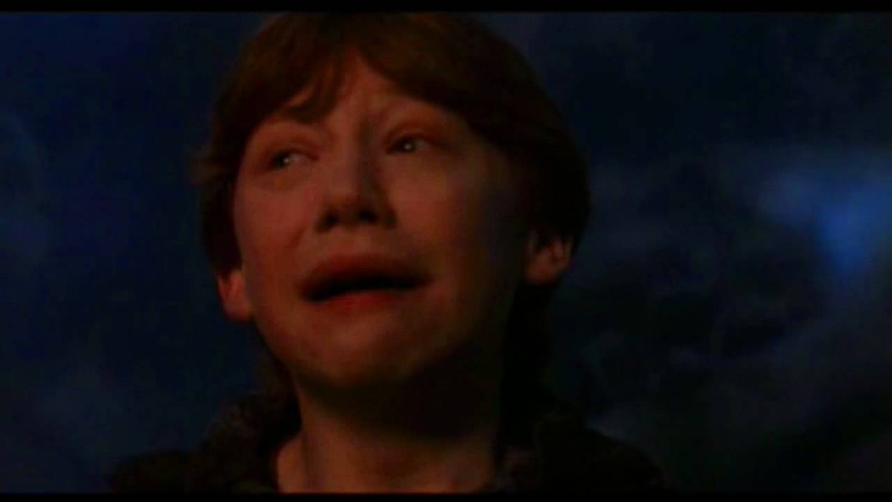 High Quality Ron weasley panic now Blank Meme Template