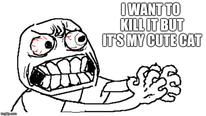 Anger | I WANT TO KILL IT BUT IT'S MY CUTE CAT | image tagged in anger | made w/ Imgflip meme maker