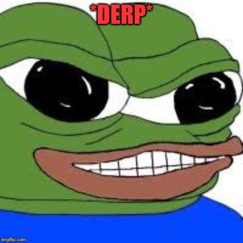 *DERP* | image tagged in memes,funny | made w/ Imgflip meme maker