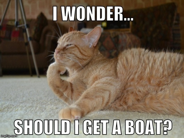 This looks familiar... | . | image tagged in cats,funny,funny cats | made w/ Imgflip meme maker