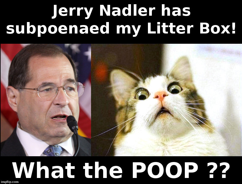 What The Poop? | image tagged in jerry nadler,scared cat,witch hunt | made w/ Imgflip meme maker