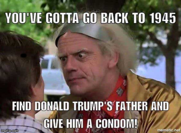 I love BTTF :) | - | image tagged in funny,back to the future,trump | made w/ Imgflip meme maker