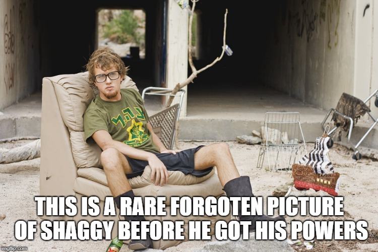 THIS IS A RARE FORGOTEN PICTURE OF SHAGGY BEFORE HE GOT HIS POWERS | image tagged in shaggy,shaggy meme | made w/ Imgflip meme maker