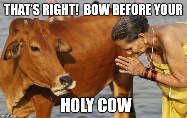 THAT’S RIGHT!  BOW BEFORE YOUR HOLY COW | made w/ Imgflip meme maker