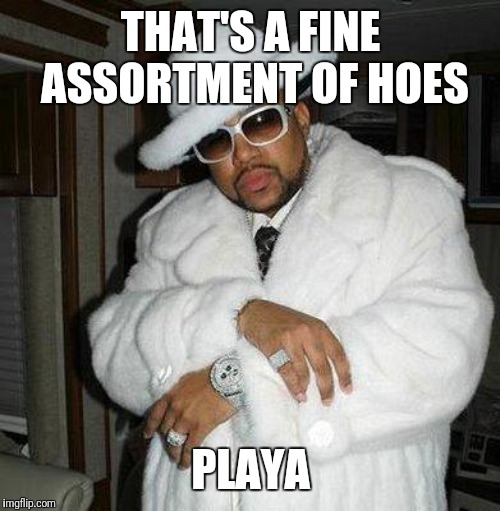 pimp c | THAT'S A FINE ASSORTMENT OF HOES PLAYA | image tagged in pimp c | made w/ Imgflip meme maker