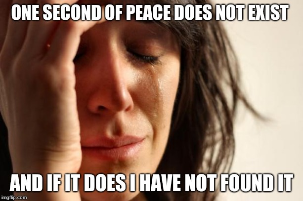 First World Problems Meme | ONE SECOND OF PEACE DOES NOT EXIST; AND IF IT DOES I HAVE NOT FOUND IT | image tagged in memes,first world problems | made w/ Imgflip meme maker