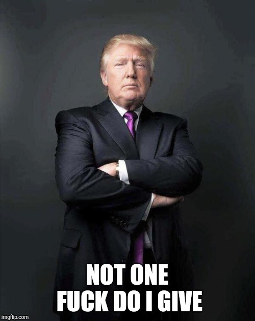 Trump, Like a Boss | NOT ONE FUCK DO I GIVE | image tagged in trump like a boss | made w/ Imgflip meme maker
