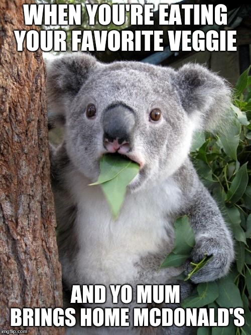 Surprised Koala |  WHEN YOU'RE EATING YOUR FAVORITE VEGGIE; AND YO MUM BRINGS HOME MCDONALD'S | image tagged in memes,surprised koala | made w/ Imgflip meme maker