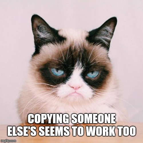 grumpy cat again | COPYING SOMEONE ELSE'S SEEMS TO WORK TOO | image tagged in grumpy cat again | made w/ Imgflip meme maker