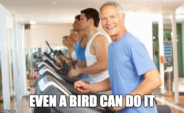 treadmill | EVEN A BIRD CAN DO IT | image tagged in treadmill | made w/ Imgflip meme maker