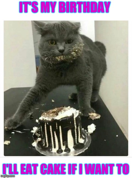 IT'S MY BIRTHDAY; I'LL EAT CAKE IF I WANT TO | image tagged in birthday,cat,cake | made w/ Imgflip meme maker