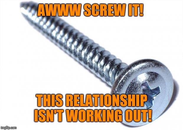 Screw | AWWW SCREW IT! THIS RELATIONSHIP ISN'T WORKING OUT! | image tagged in screw | made w/ Imgflip meme maker