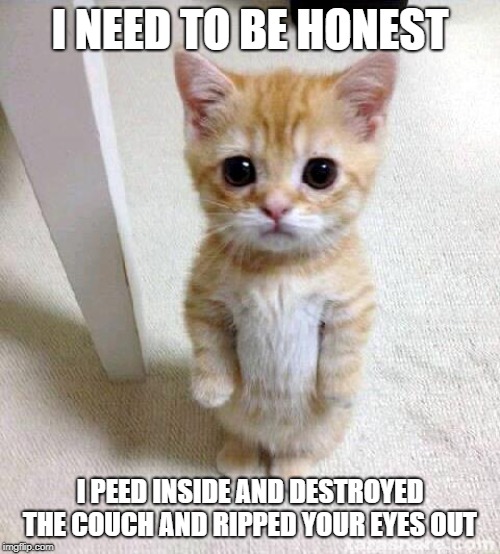 Cute Cat | I NEED TO BE HONEST; I PEED INSIDE AND DESTROYED THE COUCH AND RIPPED YOUR EYES OUT | image tagged in memes,cute cat | made w/ Imgflip meme maker