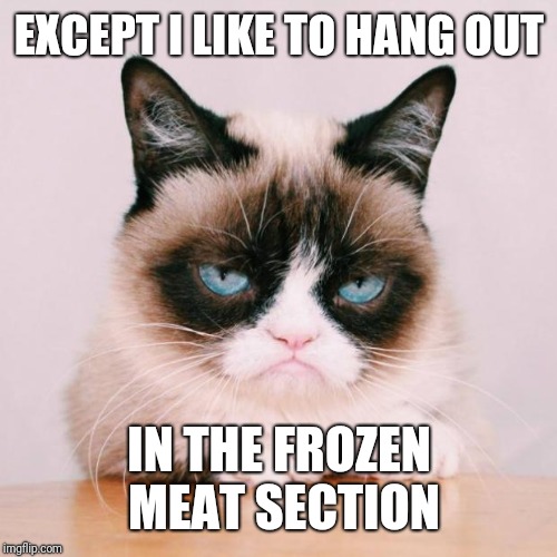grumpy cat again | EXCEPT I LIKE TO HANG OUT IN THE FROZEN MEAT SECTION | image tagged in grumpy cat again | made w/ Imgflip meme maker