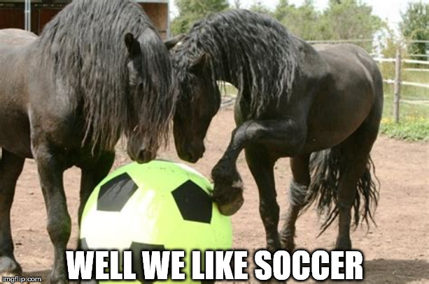 Just horsing around | WELL WE LIKE SOCCER | image tagged in just horsing around | made w/ Imgflip meme maker