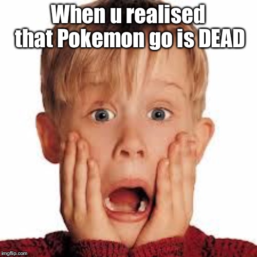 shocked face | When u realised that Pokemon go is DEAD | image tagged in shocked face | made w/ Imgflip meme maker