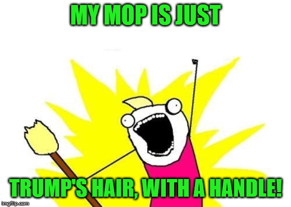 X All The Y Meme | MY MOP IS JUST TRUMP'S HAIR, WITH A HANDLE! | image tagged in memes,x all the y | made w/ Imgflip meme maker