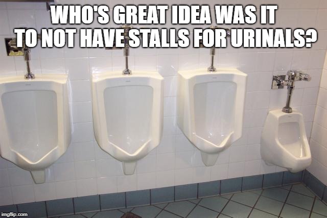 Men's Room Urinals | WHO'S GREAT IDEA WAS IT TO NOT HAVE STALLS FOR URINALS? | image tagged in men's room urinals | made w/ Imgflip meme maker