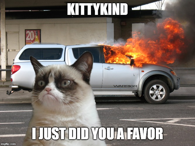 Grumpy Cat Car on Fire | KITTYKIND I JUST DID YOU A FAVOR | image tagged in grumpy cat car on fire | made w/ Imgflip meme maker