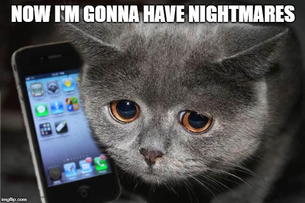 Sad cat phone | NOW I'M GONNA HAVE NIGHTMARES | image tagged in sad cat phone | made w/ Imgflip meme maker