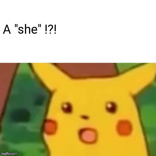Surprised Pikachu Meme | A "she" !?! | image tagged in memes,surprised pikachu | made w/ Imgflip meme maker