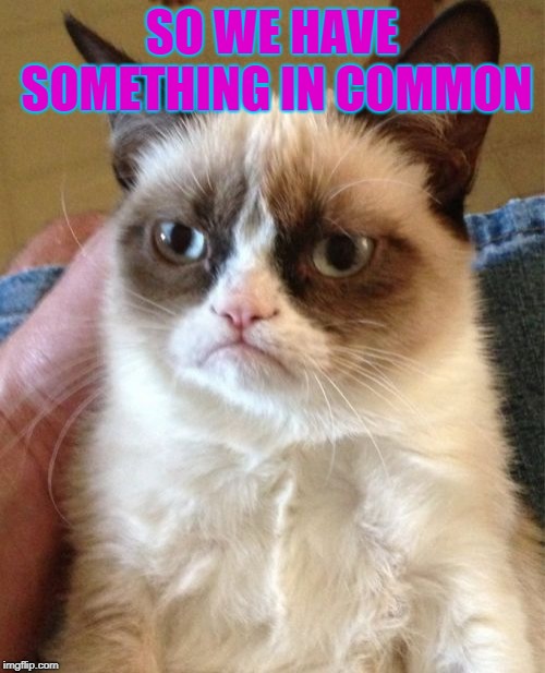 Grumpy Cat Meme | SO WE HAVE SOMETHING IN COMMON | image tagged in memes,grumpy cat | made w/ Imgflip meme maker