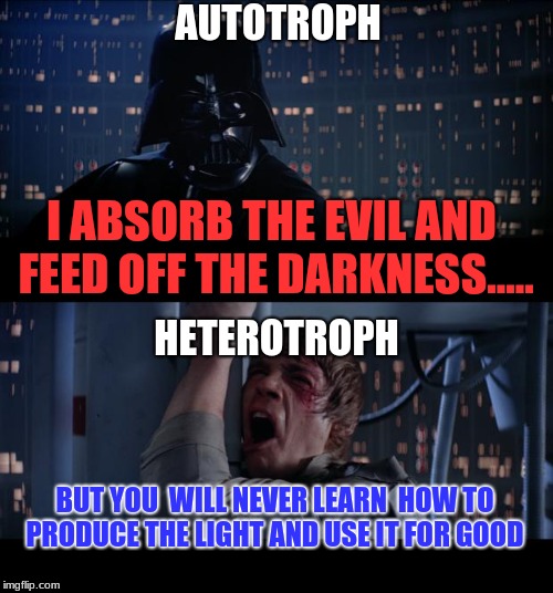Star Wars No | AUTOTROPH; I ABSORB THE EVIL AND FEED OFF THE DARKNESS..... HETEROTROPH; BUT YOU  WILL NEVER LEARN  HOW TO PRODUCE THE LIGHT AND USE IT FOR GOOD | image tagged in memes,star wars no | made w/ Imgflip meme maker