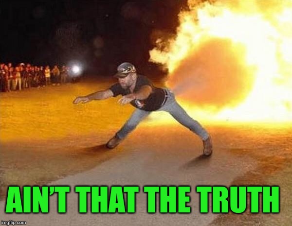 fire fart | AIN’T THAT THE TRUTH | image tagged in fire fart | made w/ Imgflip meme maker