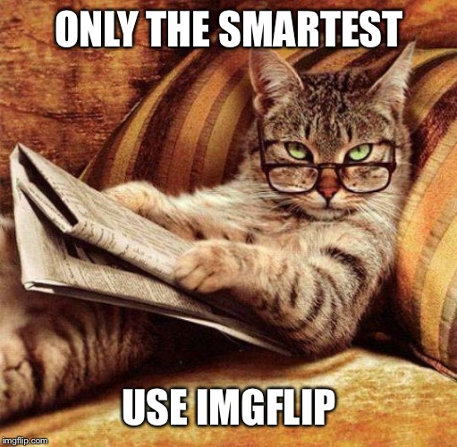 Smart Cat | ONLY THE SMARTEST USE IMGFLIP | image tagged in smart cat | made w/ Imgflip meme maker