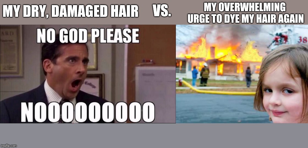 Me vs. My hair | VS. MY OVERWHELMING URGE TO DYE MY HAIR AGAIN; MY DRY, DAMAGED HAIR | image tagged in funny memes,hair,relatable | made w/ Imgflip meme maker