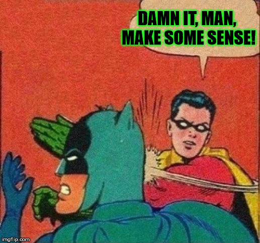 Robin Slaps Batman | DAMN IT, MAN, MAKE SOME SENSE! | image tagged in robin slaps batman | made w/ Imgflip meme maker