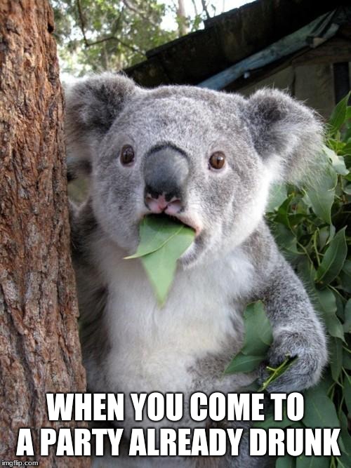 Surprised Koala Meme | WHEN YOU COME TO A PARTY ALREADY DRUNK | image tagged in memes,surprised koala | made w/ Imgflip meme maker