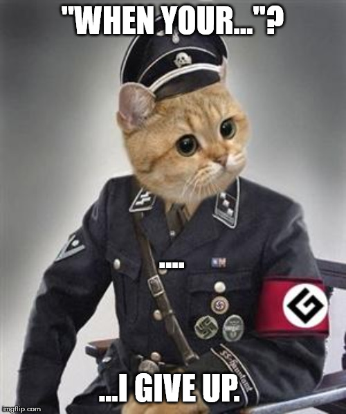 Grammar Nazi Cat | "WHEN YOUR..."? ...I GIVE UP. .... | image tagged in grammar nazi cat | made w/ Imgflip meme maker